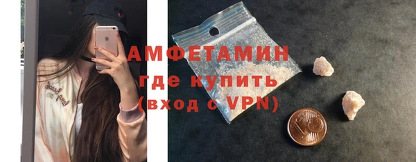 шишки Верея