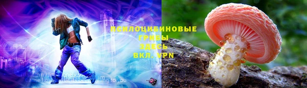 шишки Верея