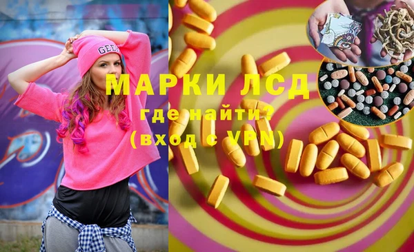 шишки Верея