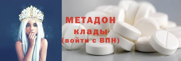 шишки Верея