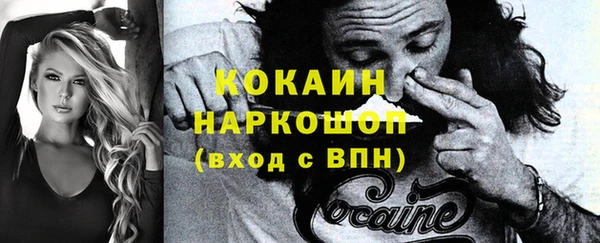 шишки Верея
