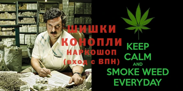 шишки Верея