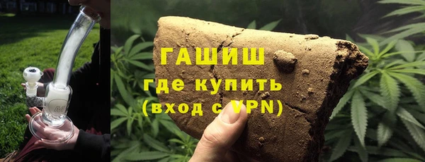 шишки Верея