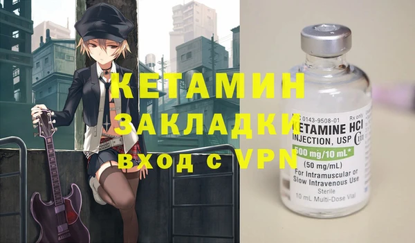 шишки Верея