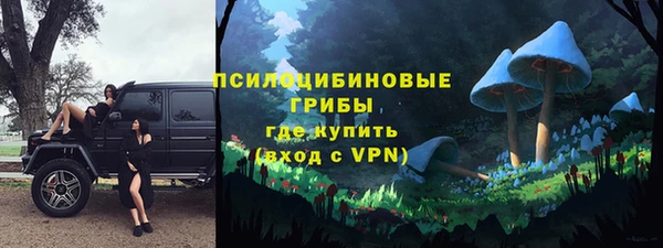 крисы Верхнеуральск